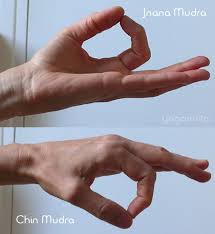 chin-mudra